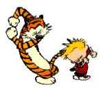 Skankin Calvin & Hobbes